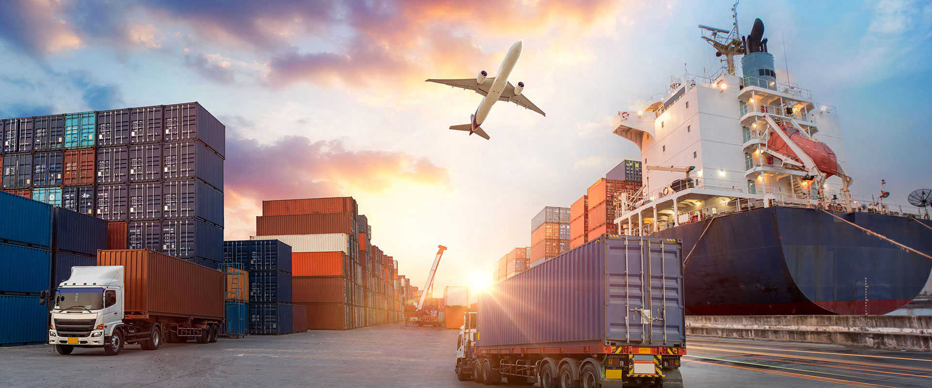 Business Interruption & Supply Chain